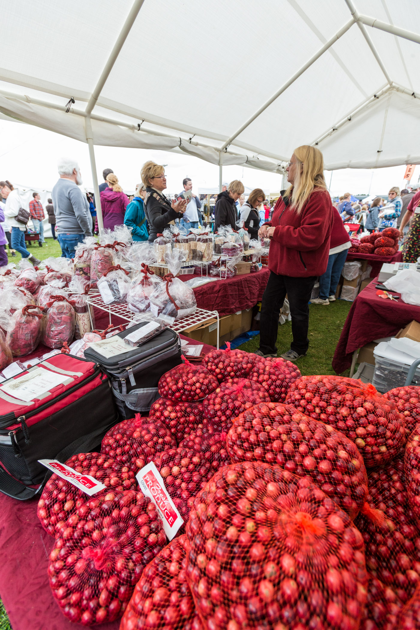 Cranberry Fest celebrates 40th Anniversary in Eagle River this weekend